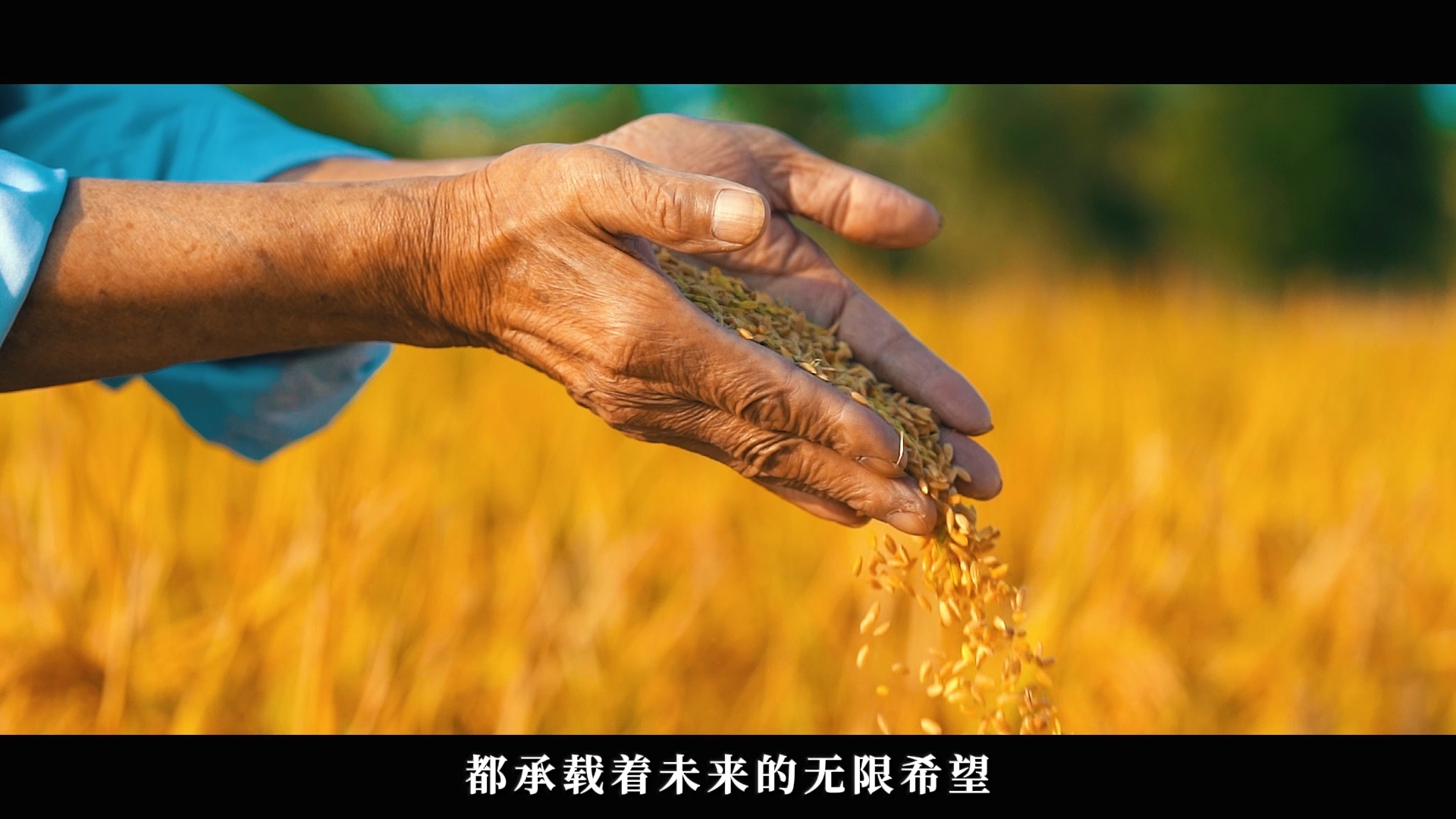 农副产品拍摄制作