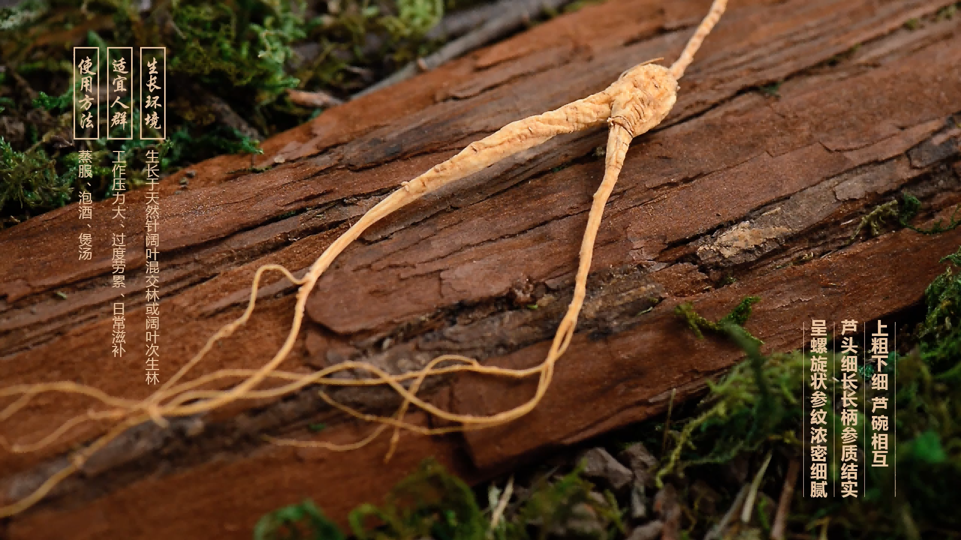 保健品拍摄制作